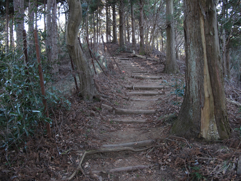 20170126hike (456)